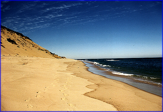 Cape Cod Beach