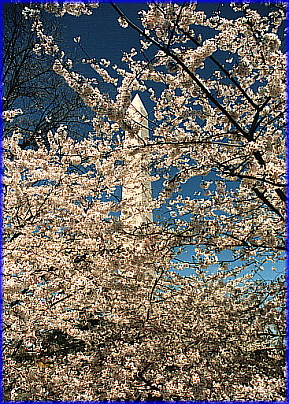 Washington Monument